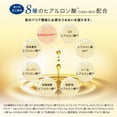 thumbnail image 3 of Crema Emulsión Hada Labo Gokujun Premium 140 ml, 3 of 6