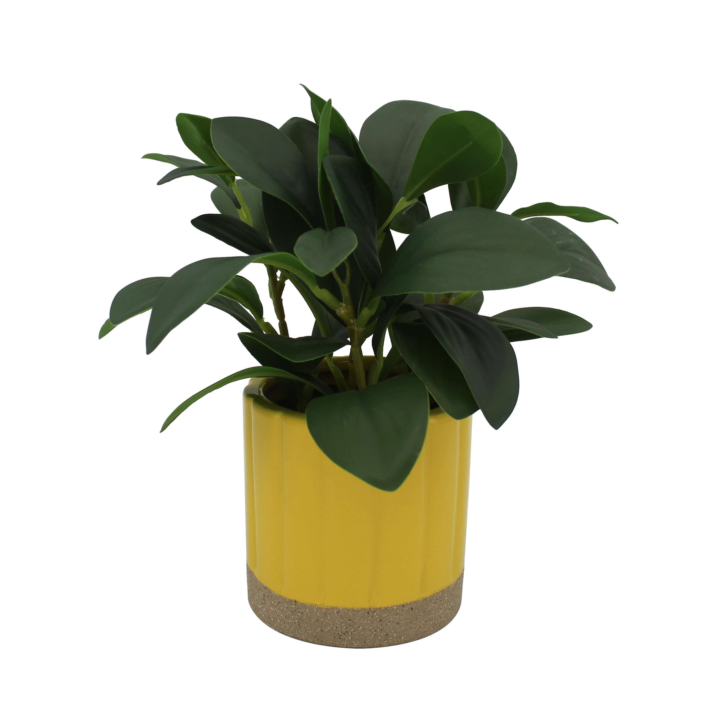 Mainstays by Becky G. & Alejandra 8 in Artificial Peperomia in Yellow Two-Tone Ribbed Ceramic Pot