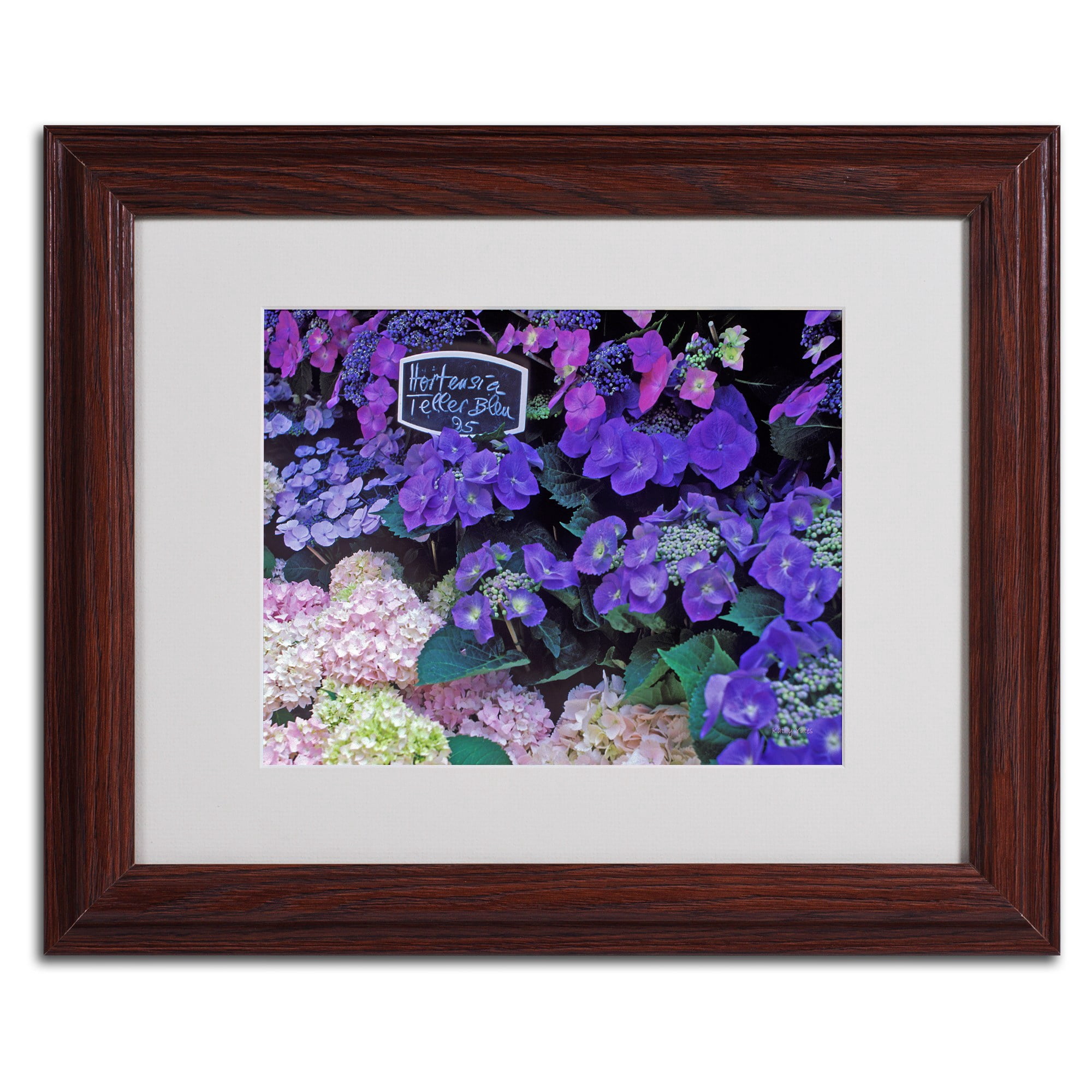 Trademark Fine Art "Paris Flower Market Hydrangeas" Matted Framed Art by Kathy Yates, Wood Frame