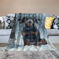 thumbnail image 2 of Orinice Dachshund Blanket - Soft &amp; Cozy Lightweight   Dachshund Throw Blanket for Couch, Bedding, Travel - Fuzzy Dachshund Decor Dachshund Gifts for Outdoor and Indoor   60x80in, 2 of 6