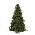 thumbnail image 1 of Vickerman A860955 5.5  x 43   Camdon Fir Tree 886 Tips, 1 of 6