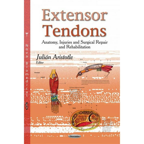 Extensor Tendons : Anatomy, Injuries and Surgical Repair and Rehabilitation