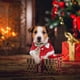 thumbnail image 2 of 1 juego de disfraz navideño para mascotas, ropa para mascotas, bufanda cálida para mascotas, ropa para perros y gatos, 2 of 7