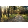 thumbnail image 2 of Road Through Green Pine Forest - Landscape Photography Canvas Print, 2 of 3