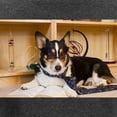 thumbnail image 3 of CafePress - Science Dog Long Sleeve T Shirt - Women's Long Sleeve Graphic Tee Casual Fit, 3 of 4