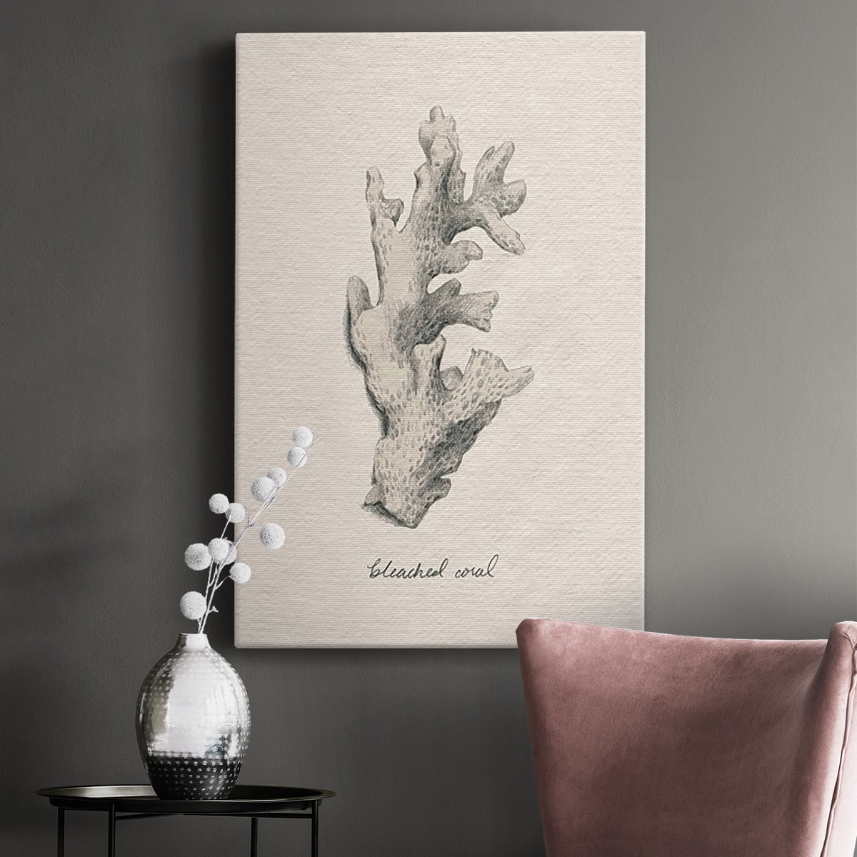 Shore Treasure Study II Premium Gallery Wrapped Canvas - Ready to Hang