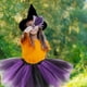 thumbnail image 3 of Decoraciones de Halloween, adornos de Halloween, regalos de Halloween, fiesta de carnaval de Halloween, disfraz de bruja, maquillaje de bruja para niños, decoración de bruja de Halloween, 3 of 4