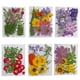 thumbnail image 4 of Advancent Artesanía de flores secas naturales Flores prensadas Ramos en relieve Decoración para tarjetas de boda Pintura de álbum de recortes Flores artificiales Typ 4 Advancent HA010760-04, 4 of 6