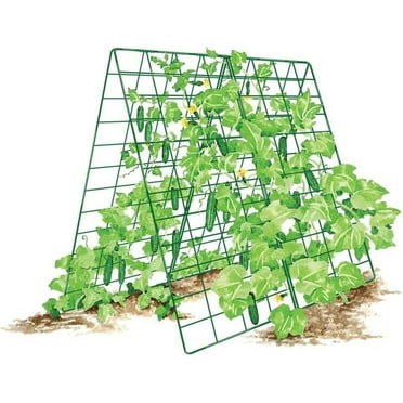 Gardener' s Supply Company Deluxe Cucumber Trellis | Outdoor A-Frame Trellis Plant Support for Vining Vegetables with 4" Grids for Easy Harvesting | 32" W x 46" H - Green