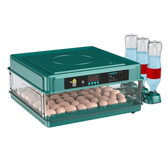 Automatic Eggs Turning Incubator With Temperature Humidity Easy Control For Chicken Duck Quail Eggs 110V Home Hatching