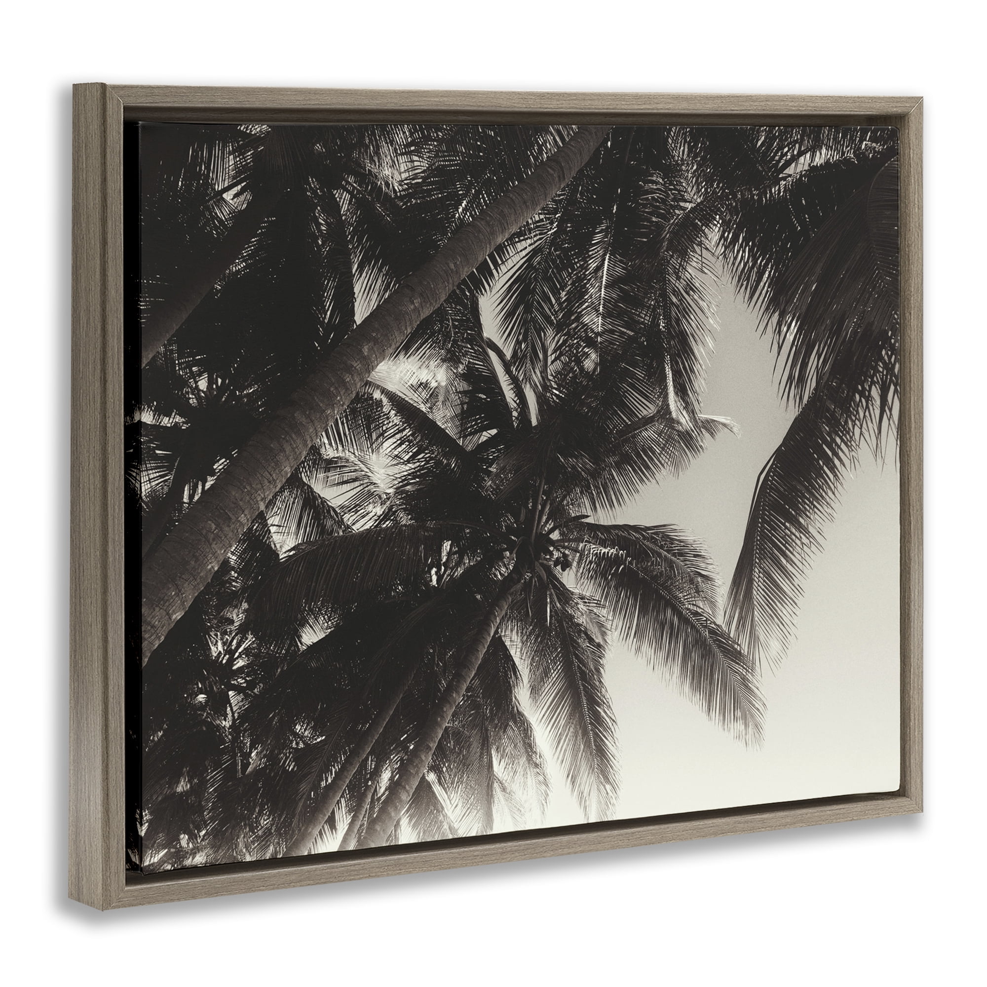 Stupell Industries Dark Palm Leaves Botanical & Floral Photography Brown Floater Framed Canvas Art Print Wall Art, 31 x 25