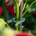 thumbnail image 5 of Guozer Clearance Gardening Ring Buckle 50PCS Plant Binding Strap Fixing Clip Plastic Small Clip for Plant Climbing Support Indoor Plant Stakes, 5 of 6