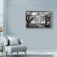 thumbnail image 3 of Trademark Fine Art 'Foggy Morning Walk on FAP' Canvas Art by Laura DeNardo, 3 of 4