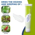 thumbnail image 5 of Ungüento Nivagen de óxido de zinc USP 20% para rozaduras del pañal, tubo de 60 ml, 5 of 5