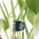 thumbnail image 5 of Juego de 100 soportes para plantas de color verde oscuro para un crecimiento seguro de orquídeas, 5 of 8