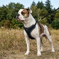thumbnail image 5 of PlacerMe Dog Reflective Mesh Collar Harness Leash-Travel Walk Strap No Pull No Tug Black Large, 5 of 12