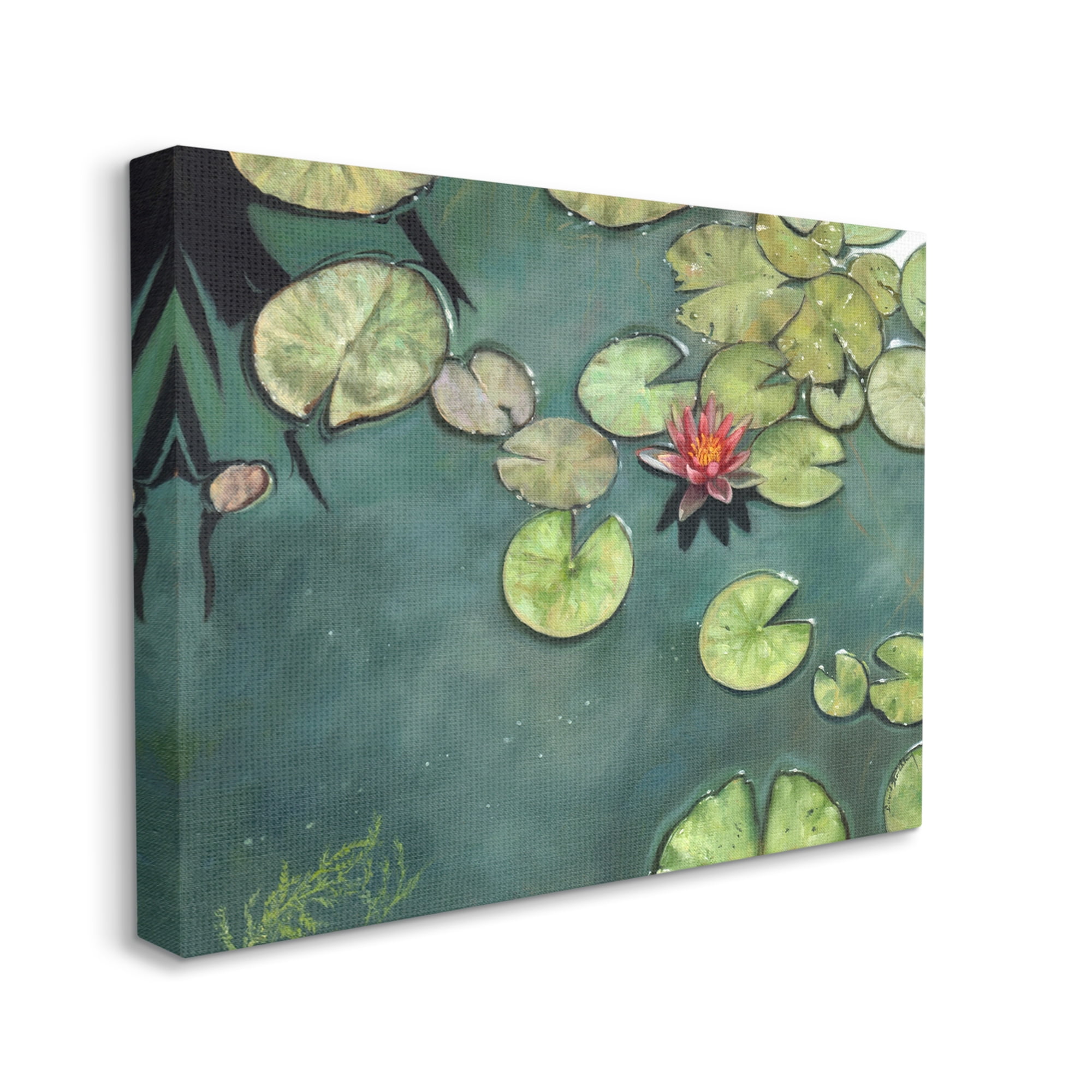 Stupell Industries Pond Lily Lotus Blossom Floating Peaceful Botanicals Painting Gallery Wrapped Canvas Print Wall Art, Design by David Stribbling