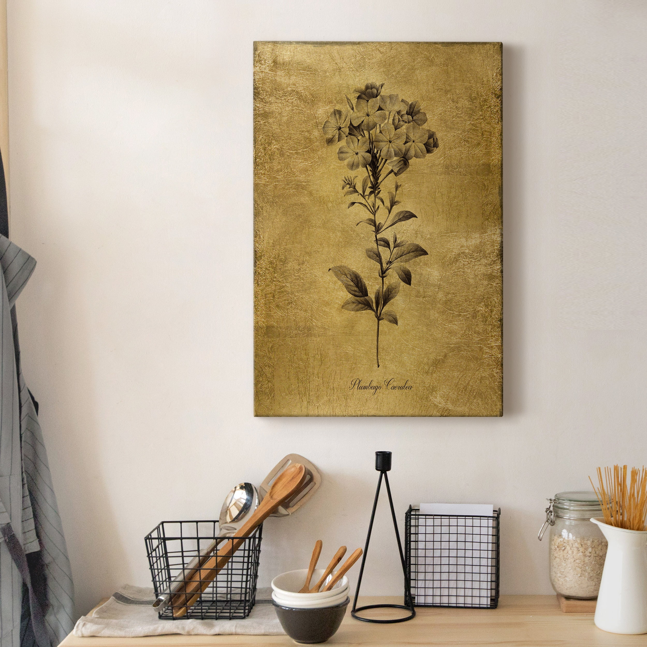 Gold Sketch Botanical II Premium Gallery Wrapped Canvas - Ready to Hang - 24 x 36