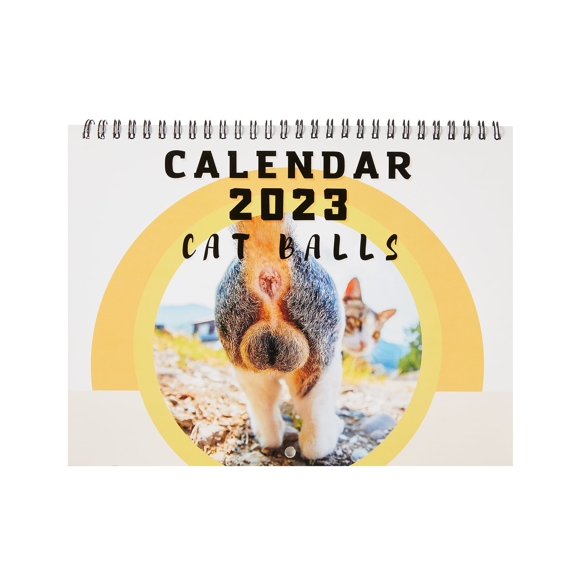 2023 Wall Calendar Funny Cat Butthole Monthly Daily Organizer for Planning  Home Office Schedule Planner - Walmart.com