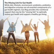 BioTrust Gut Reg Supports a Healthy Gut Lining, Helps Restore Gut Health and Helps Relieve Occasional GI Discomfort with PepZin GI, L-Glutamine and Ginger Extract, Non-GMO, Gluten-Free (60 Capsules)