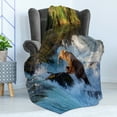 thumbnail image 4 of Waterfall Soft Flannel Fleece Throw Blanket, Image of Large Bear by a Rock in Alaska Waterfall Wildlife in Earth Art Print, Cozy Plush for Indoor and Outdoor Use, 70" x 90", Multicolor, by Ambesonne, 4 of 5