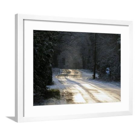 Sun glinting off an icy road in the New Forest 2009 Framed Print Wall