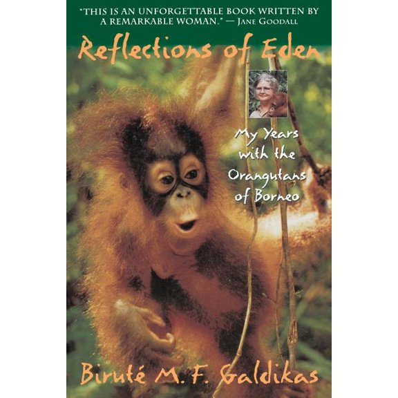 Reflections of Eden: My Years with the Orangutans of Borneo, (Paperback)