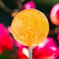 thumbnail image 2 of Sparko Sweets Natural Bee Pollen Honey Lollipops, 18 Pieces, Made in USA, No Artificial Ingredients or Corn Syrup, 0.75 Pound - Rich in Antioxidants, Perfect for Tea, Sore Throats, and Wholesom, 2 of 5