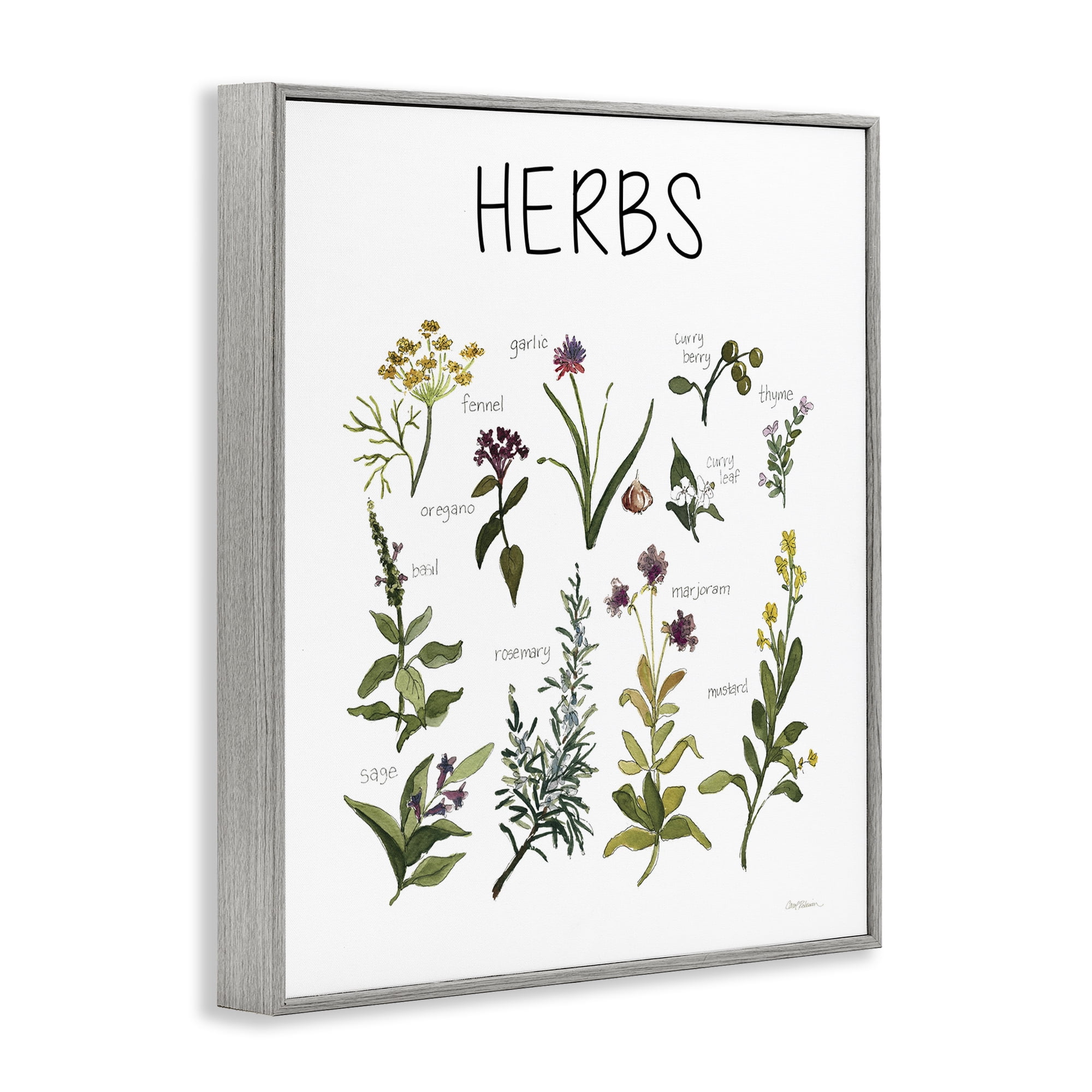 Stupell Industries Herbs Identification Chart Gray Framed Giclee Art, design by Carol Robinson