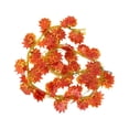 thumbnail image 1 of Enredaderas de hoja de arce rojo Ounissouiy 12 piezas ecológicas, 1 of 6