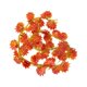 thumbnail image 1 of Billuyoard 12x Hermosas flores naranjas de imitación para decoración de pared: agregue tranquilidad a su espacio Hoja de arce roja simulada Decoración, 1 of 6
