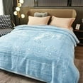 thumbnail image 2 of DBOZE Weighted Heavy Korean Mink Fleece Blanket 2 Ply Reversible Super Silky Soft Plush Warm Blanket King Size, Blue, 2 of 9