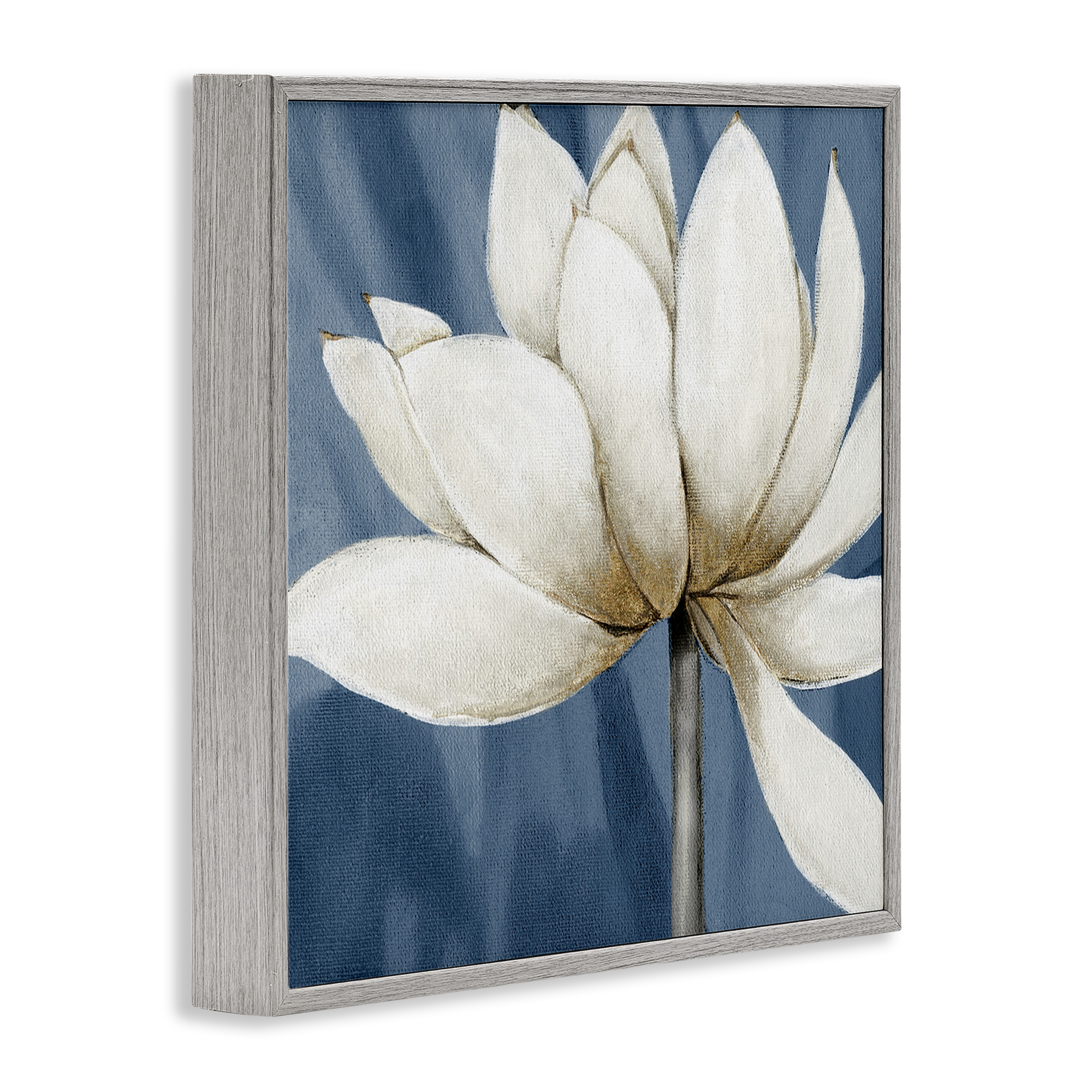 Stupell Industries White Lotus Petals Botanical & Floral Painting Gray Framed Art Print Wall Art, 12 x 12