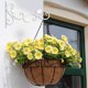 thumbnail image 1 of Colgador de Plantas de Hierro Montado en la Pared de Estilo Europeo 2 Uds Soporte para Plantas para Colgar en la Pared Hermosas Macetas Cálidas Adorno de Decoración de ANGGREK  Otros, 1 of 8