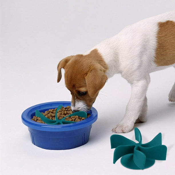 Dog clearance feeder walmart