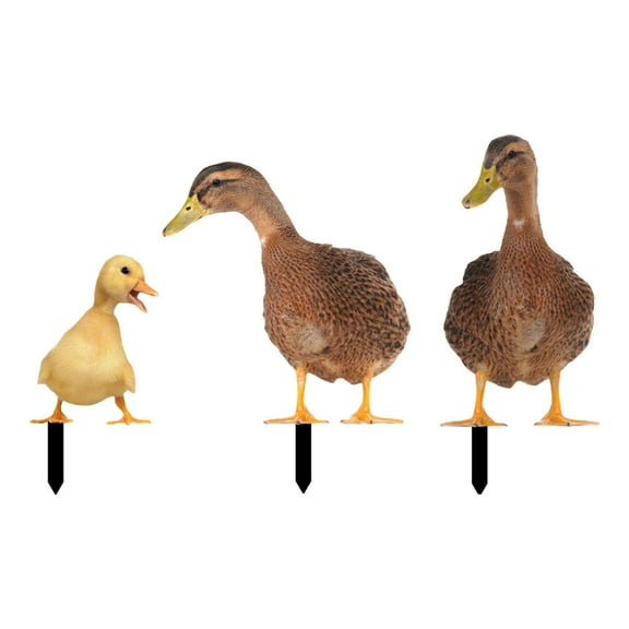 3x Animals Duck Statue Stakes, Garden Poultry Statue Sign, Garden Decor, Farm Animal Yard Stakes, Lifelike Animal Statues for Yard Front Porch
