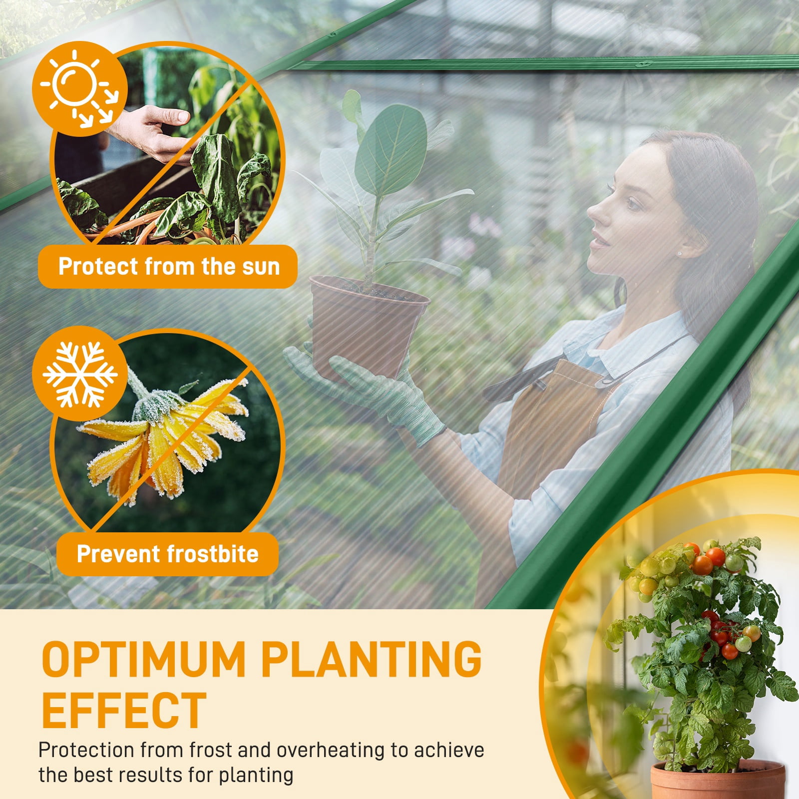 Seizeen 6x10FT Outdoor Greenhouse, Walk-in Green House Polycarbonate, Aluminium Frame Plant House for Gardening, with Adjustable Vent, 8 Supports, 62’’H Sliding Door, Green