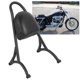 thumbnail image 4 of Conjunto de Respaldo de Pasajeros, Estante de Respaldo de Acero Ergonímico Fácil de Respaldo Resistente Al Calor Resistente Al Calor, Motocicleta para Motocicleta, 4 of 7