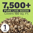 Cut Flower Garden Seeds Extra Large 1 Ounce Packet Over 7,500 Fresh