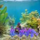 thumbnail image 4 of FENGGUIQU 10Ud De Artificial Para Acuario Con Plásticas Y Cueva Decorativa, 4 of 7