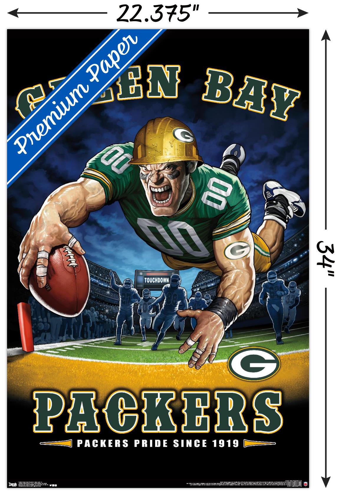 NFL Green Bay Packers - End Zone 17 Wall Poster, 22.375" x 34"