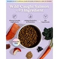 thumbnail image 2 of (Pack Of 4) Bundle x Joy Salmon Wild Dog Food Dry 4 Lb, 2 of 7