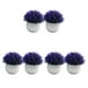 thumbnail image 4 of Injueey 2 paquetes/lote de pastos de imitación para decoración estilo impactante con mínimo esfuerzo duradero maceta bonsái ornamento Type1 NO1, 4 of 6