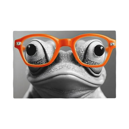 

Placemats Set of 4 / 6 Frog With Geeky Glasses Placemats for Dining Table Indoor/Outdoors Heat Resistant Washable Placemats 18 x 12