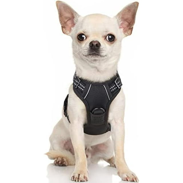 rabbitgoo Dog Harness No-Pull Pet Harness with 2 Leash Clips Adjustable Soft Padded Dog Vest Reflective No-Choke Pet Oxford Vest with Easy Control Handle for Large Dogs Orange L