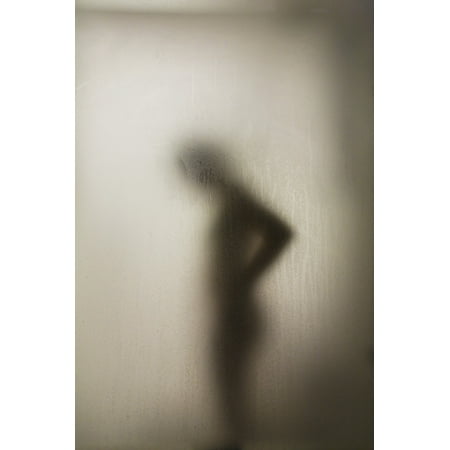 Silhouette Of A Nude Woman Behind The Glass Door Of A Shower Stall Canvas Art - Perry Mastrovito  Design Pics (24 x