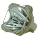 Remplacement de la Lampe de Projecteur Original Philips pour Sony VPL-HW50ES (Ampoule Seulement) – image 1 sur 5