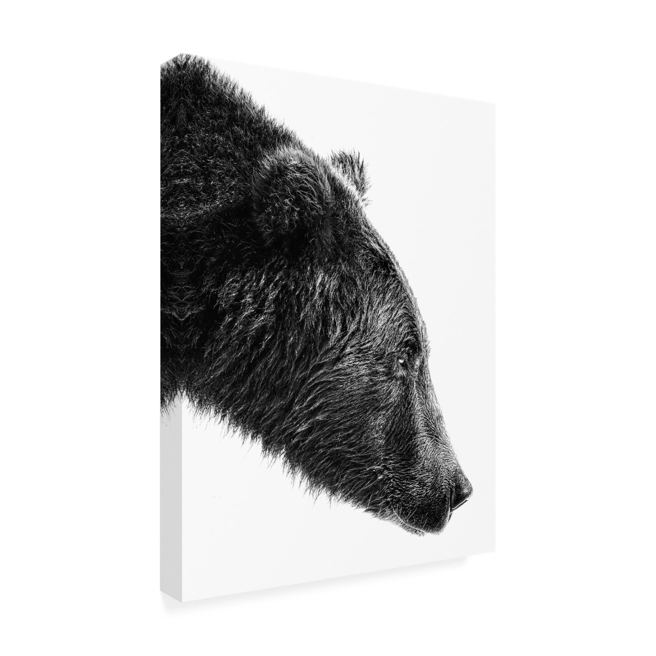 Trademark Fine Art Anchor Lee The Salmon Catcher Canvas Wall Art
