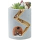 thumbnail image 1 of Segreto Plantas Creativas Macetas Macetas con Cepillo Adornos para Plantas Suculentas Maceta Decorada Escritorio, Jardín, Sala de Estar con Dulce Familia de Erizos La moriposa Store, 1 of 7