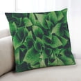 thumbnail image 1 of Ahgly Company Color Focus Green Coussin Décoratif d'Intérieur, 18 Po X 18 Po, 1 of 6